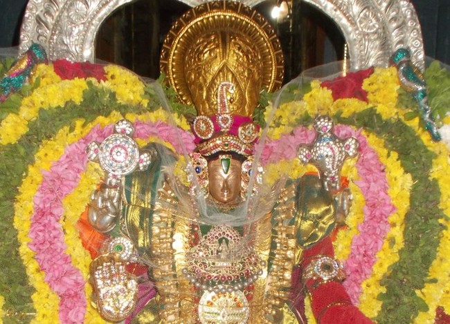 Therazhundur Sri Amaruviappan Temple Irappathu  utsavam Day 9   2014-02