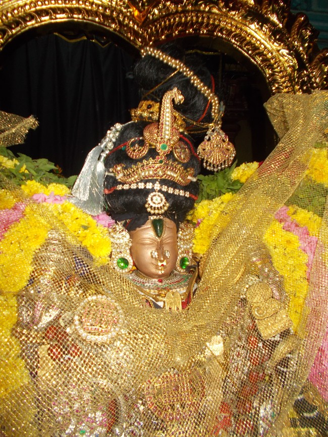 Therazhundur Sri Amaruviappan Temple Irappathu  utsavam Day 9   2014-05