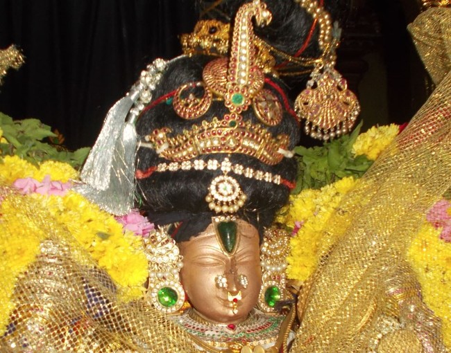 Therazhundur Sri Amaruviappan Temple Irappathu  utsavam Day 9   2014-06