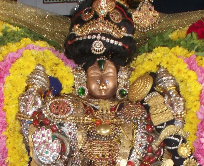 Therazhundur Sri Amaruviappan Temple Irappathu  utsavam Day 9   2014-17