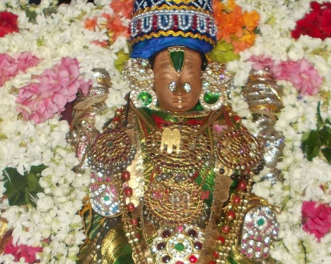 Therazhundur Sri Amaruviappan Temple Kanu Parvettai Utsavam  2014-01