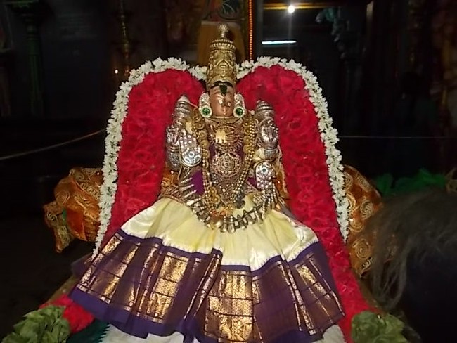 Therazhundur Sri Amaruviappan Temple Kanu Parvettai Utsavam  2014-02