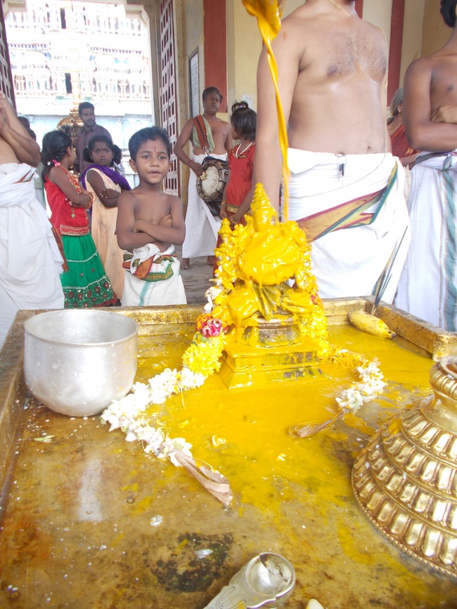 Therazhundur Sri Amaruviappan Temple Kanu Parvettai Utsavam  2014-22