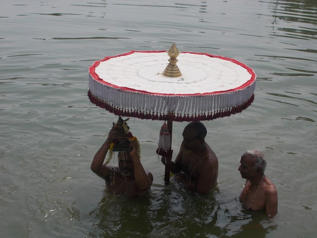 Therazhundur Sri Amaruviappan Temple Kanu Parvettai Utsavam  2014-24