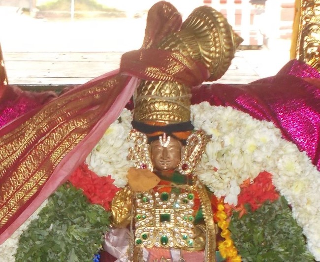 Therazhundur Sri Amaruviappan Temple Vaikundar Ekadasi Utsavam  2014-27