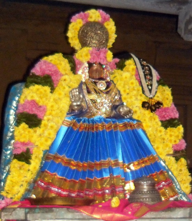 Thirukannamangai Sri Abhishekavalli Thayar Thai Velli purappadu-2015-10