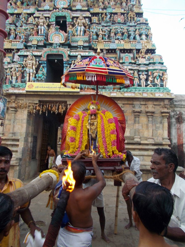 Thirukannamangai Sri Bhakthavatasala Perumal Temple Rathasapthami 2015-05