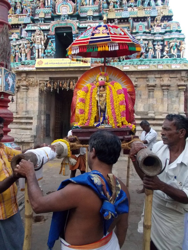 Thirukannamangai Sri Bhakthavatasala Perumal Temple Rathasapthami 2015-06