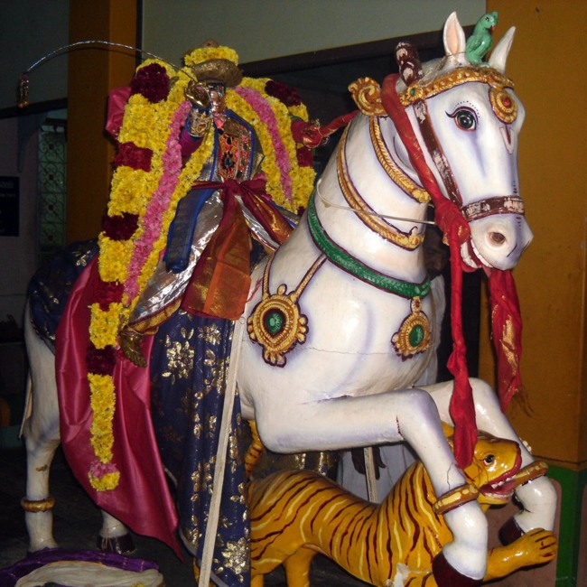 Thirukannamangai Sri Bhakthavatsala Perumal Kanu Parivettai -2015-02