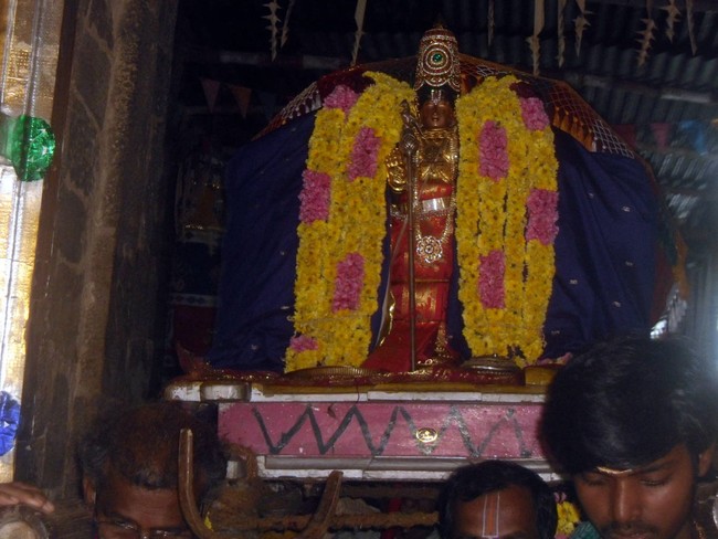 Thirukannamangai Sri Bhakthavatsala Perumal Temple Irappathu Utsavam day 5 2014-02