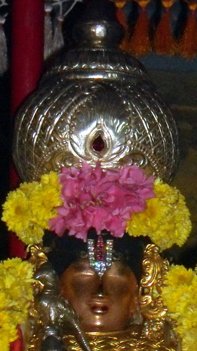 Thirukannamangai Sri Bhakthavatsala Perumal Temple Irappathu  utsavam day 9  2014-11