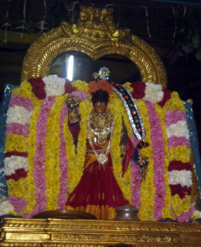 Thirukannamangai Sri Bhakthavatsala Perumal temple Pagal pathu Mohini alankaram-2014-13