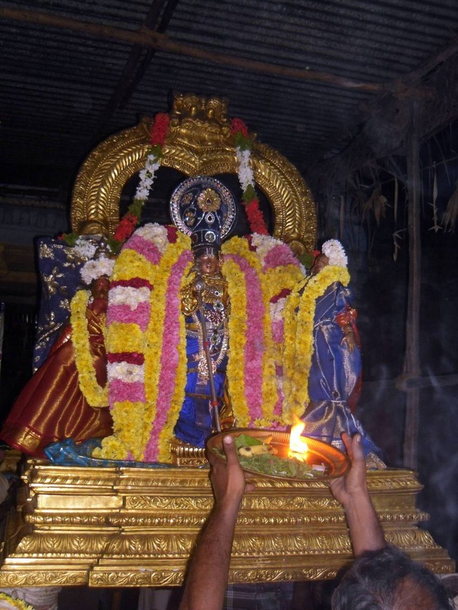 Thirukannamangai  Sri Bhakthavatsala Temple  Irappathu  utsavam Day 10 Nammazhwar Moksham   2014-07