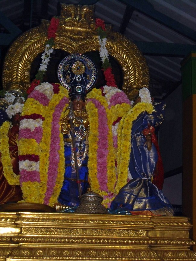 Thirukannamangai  Sri Bhakthavatsala Temple  Irappathu  utsavam Day 10 Nammazhwar Moksham   2014-10