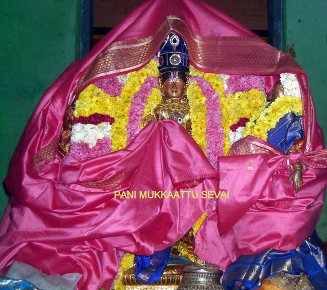 Thirukannamangai  Sri Bhakthavatsala Temple  Irappathu  utsavam Day 10 Nammazhwar Moksham   2014-35