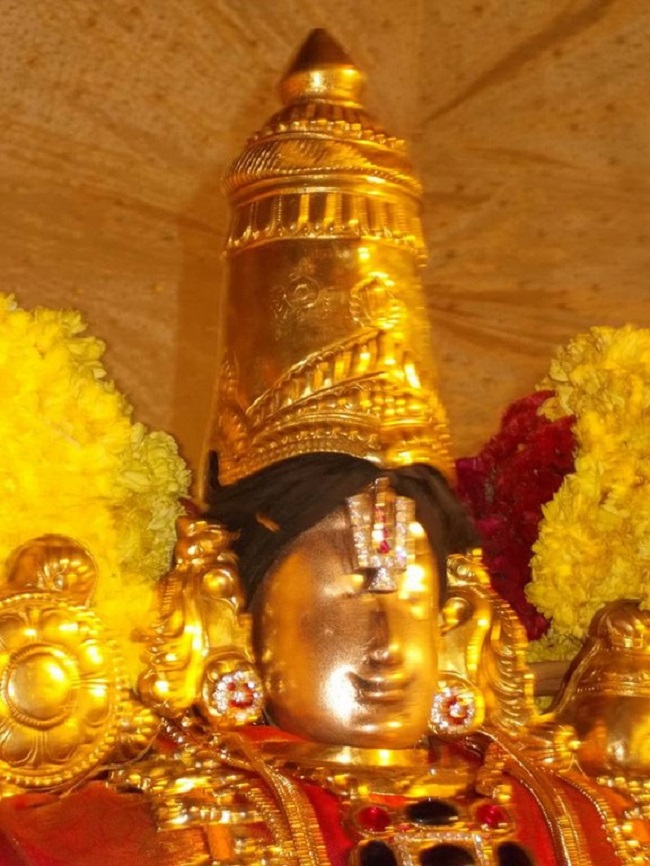 Thirukoodal Azhagar Temple Pagal Pathu Utsavam8