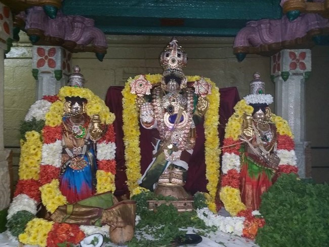 Thirukovalur Sri Trivikrama Perumal Temple Pagal Pathu Satrumurai1