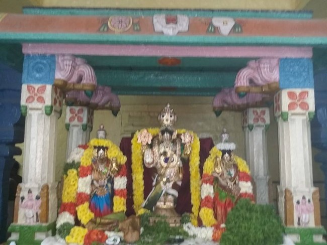 Thirukovalur Sri Trivikrama Perumal Temple Pagal Pathu Satrumurai2