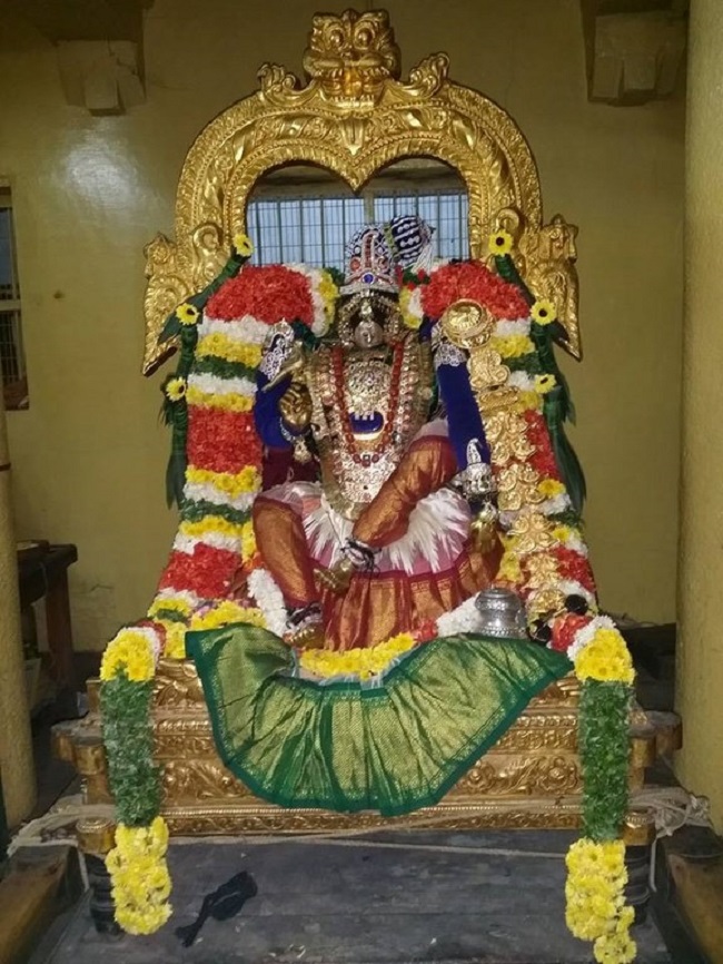 Thirukovalur Sri Trivikrama Perumal Temple Pagal Pathu Satrumurai4