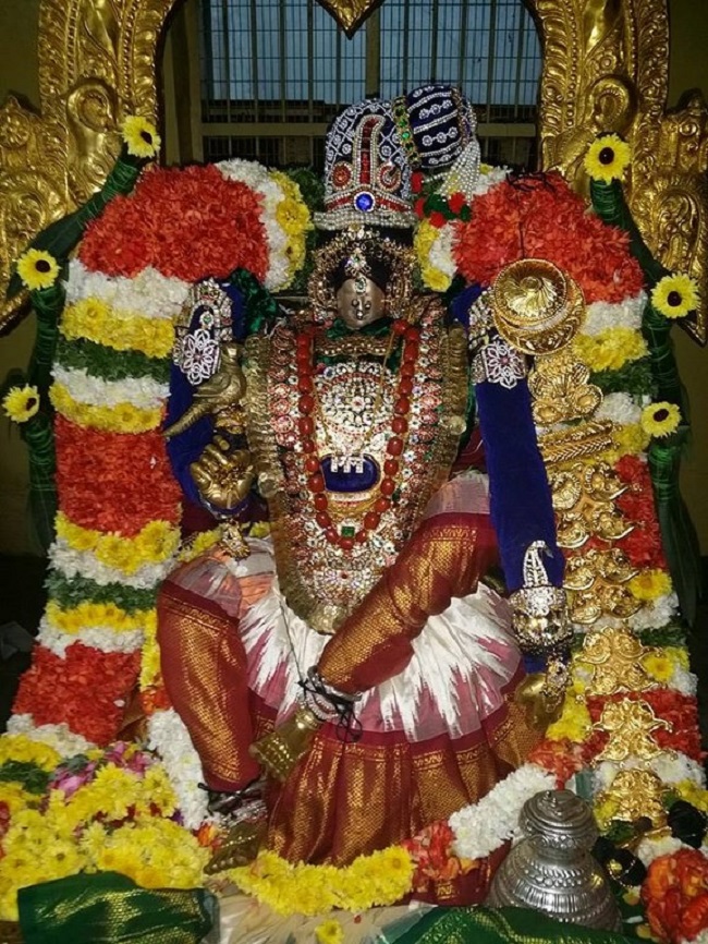 Thirukovalur Sri Trivikrama Perumal Temple Pagal Pathu Satrumurai5