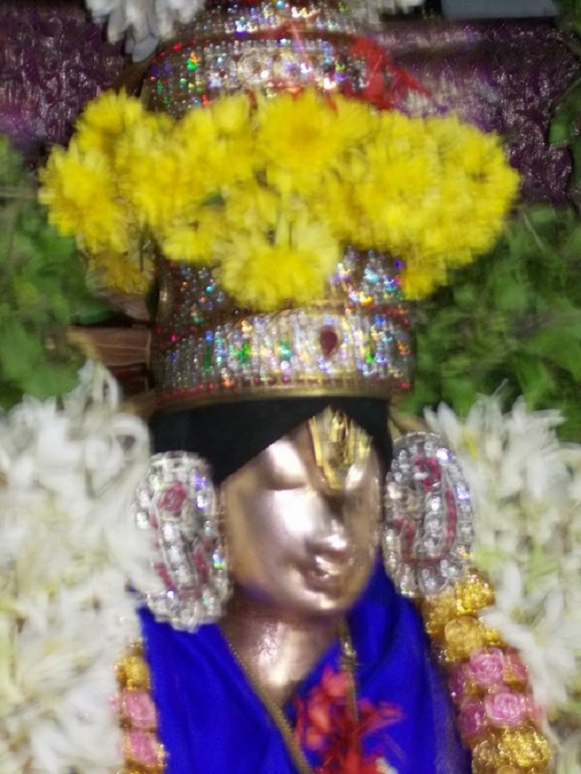 Thirumaliruncholai Sri Kallazhagar Temple  Irappathu Utsavam5