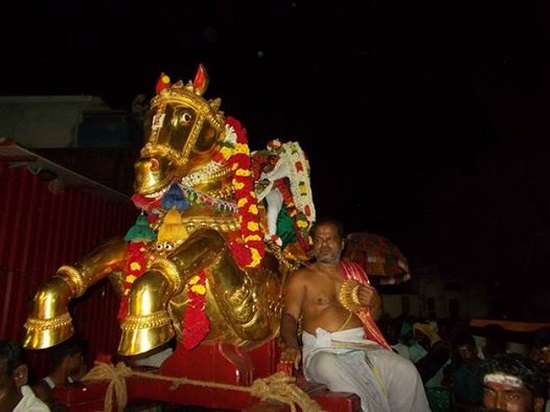 Thirumaliruncholai Sri Kallazhagar Temple  Irappathu Utsavam5