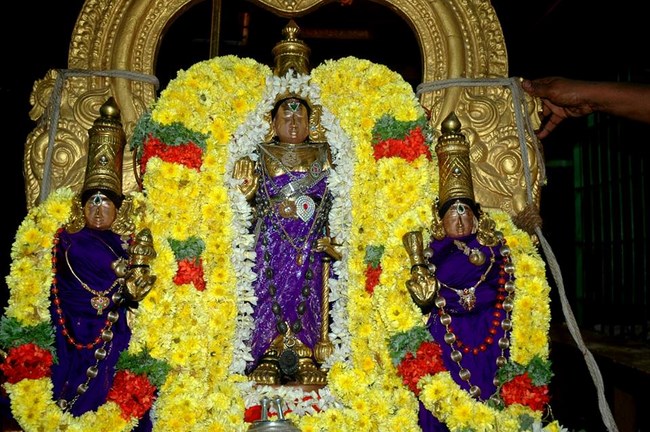 Thiruneermalai Sri Ranganatha Perumal Temple Irappathu Utsavam9