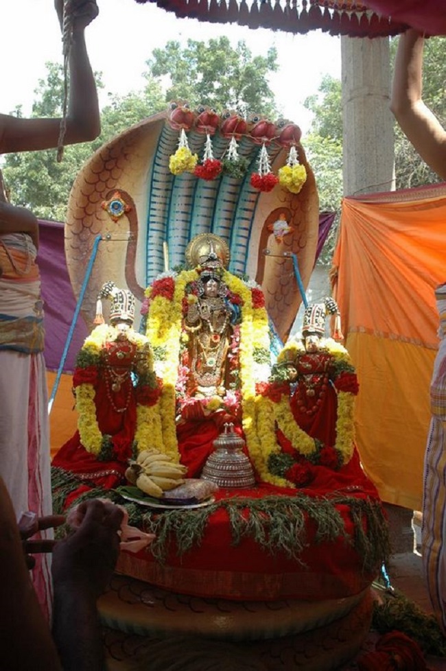 Thiruneermalai Sri Ranganatha Perumal Temple Rathasapthami Purappadu10