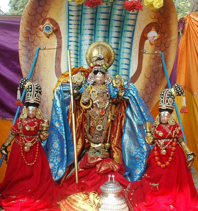 Thiruneermalai Sri Ranganatha Perumal Temple Rathasapthami Purappadu17