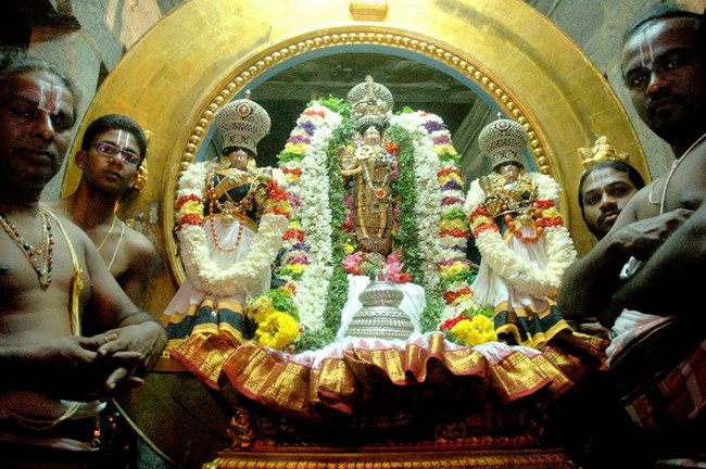 Thiruneermalai Sri Ranganatha Perumal Temple Rathasapthami Purappadu26