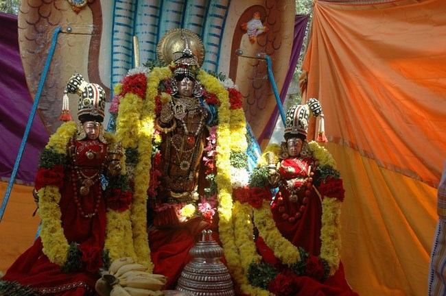 Thiruneermalai Sri Ranganatha Perumal Temple Rathasapthami Purappadu27