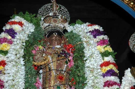 Thiruneermalai Sri Ranganatha Perumal Temple Rathasapthami Purappadu34