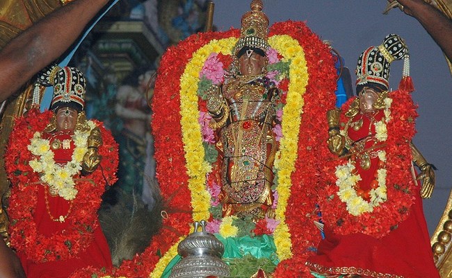 Thiruneermalai Sri Ranganatha Perumal Temple Rathasapthami Purappadu39