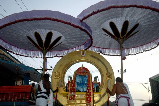 Thiruneermalai Sri Ranganatha Perumal Temple Rathasapthami Purappadu49