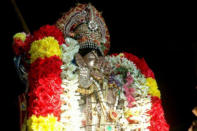 Thiruneermalai Sri Ranganatha Perumal Temple Rathasapthami Purappadu51