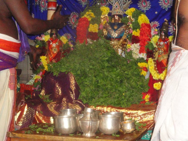 Thirupullani Adhi Jagannatha Perumal Temple Pagal Pathu Thirumangai azhwar Thiruvadi THozhal 2014-01
