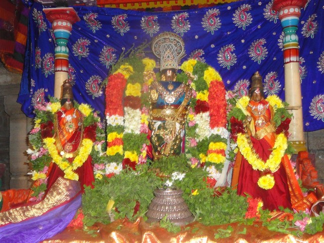 Thirupullani Adhi Jagannatha Perumal Temple Pagal Pathu Thirumangai azhwar Thiruvadi THozhal 2014-21