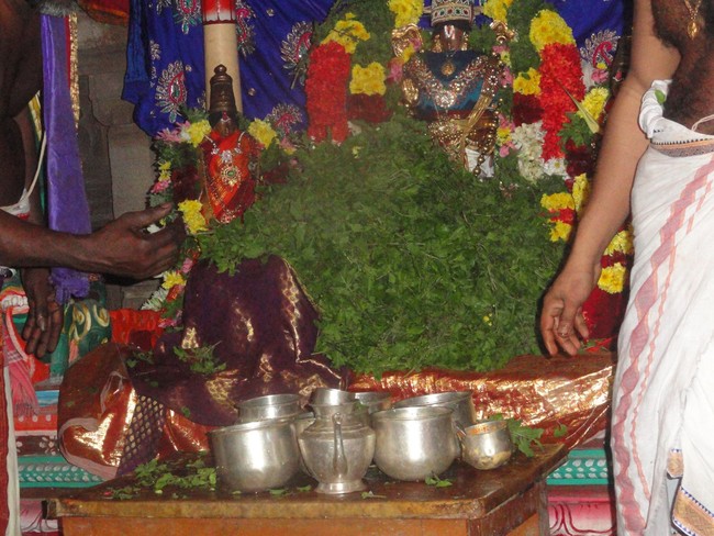 Thirupullani Adhi Jagannatha Perumal Temple Pagal Pathu Thirumangai azhwar Thiruvadi THozhal 2014-24