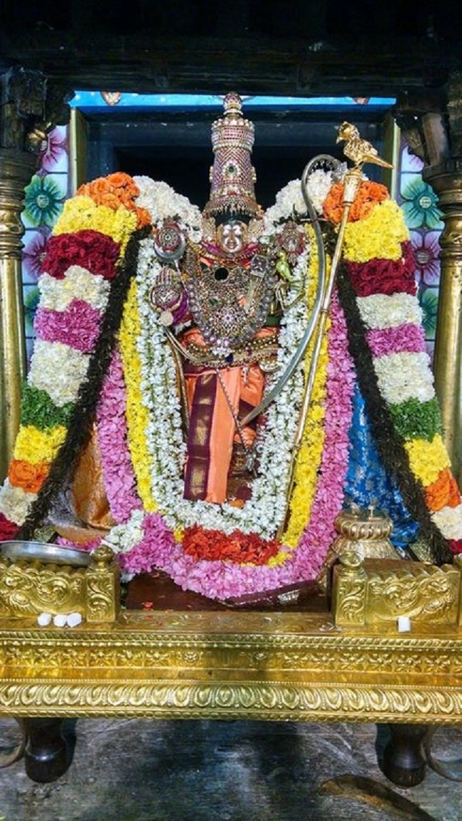 Thiruvahindrapuram Sri Devanathan Perumal Temple Irappathu Utsavam 10