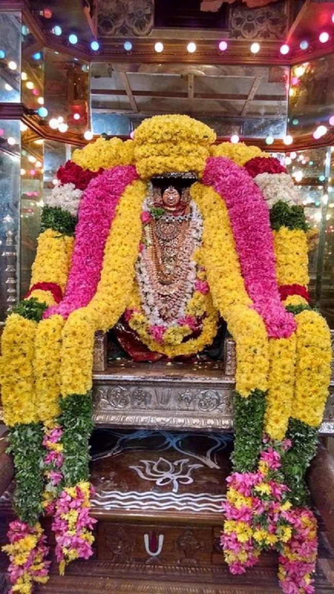 Thiruvahindrapuram Sri Devanathan Perumal Temple Irappathu Utsavam 2
