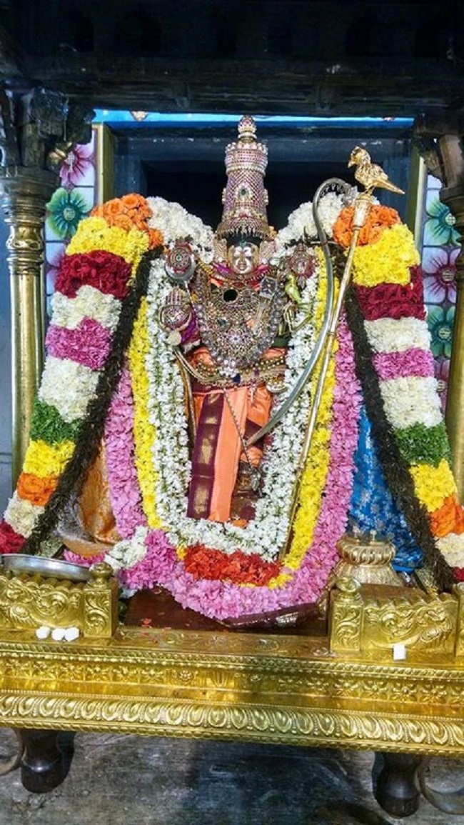 Thiruvahindrapuram Sri Devanathan Perumal Temple Irappathu Utsavam 3