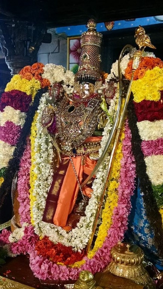 Thiruvahindrapuram Sri Devanathan Perumal Temple Irappathu Utsavam 4