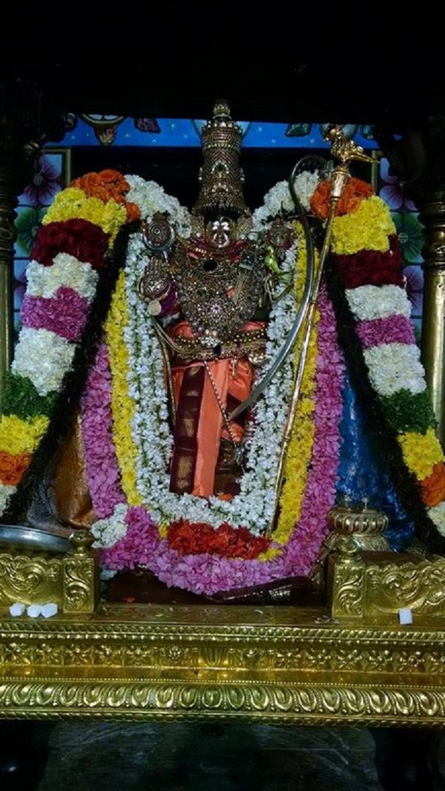 Thiruvahindrapuram Sri Devanathan Perumal Temple Irappathu Utsavam 5