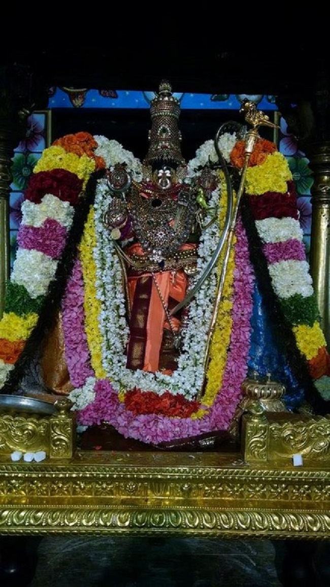 Thiruvahindrapuram Sri Devanathan Perumal Temple Irappathu Utsavam 8