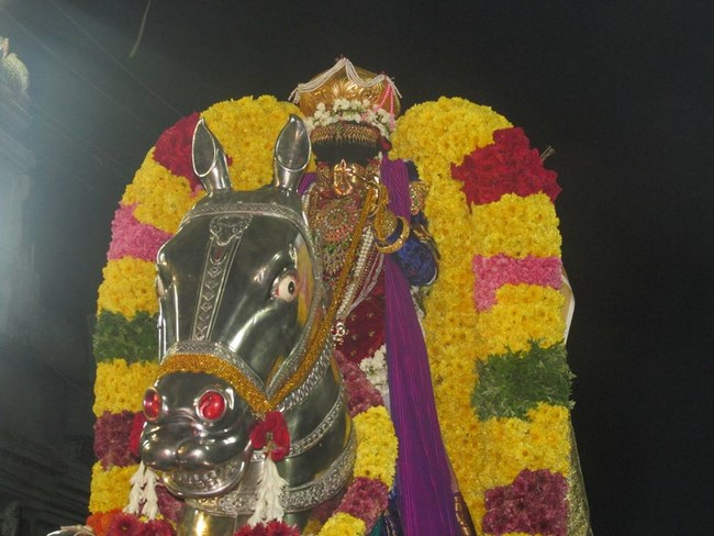 Thiruvahindrapuram Sri Devanathan Perumal Temple Irappathu Utsavam1