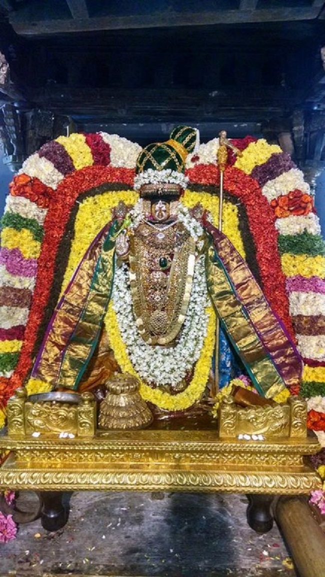 Thiruvahindrapuram Sri Devanathan Perumal Temple Irappathu Utsavam13