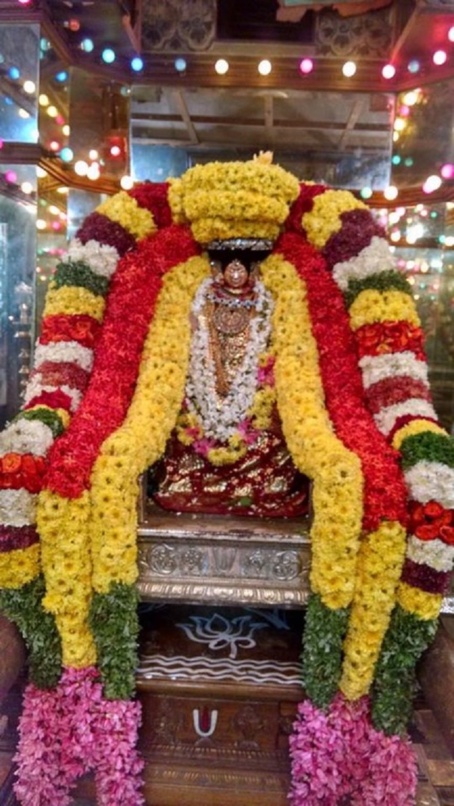 Thiruvahindrapuram Sri Devanathan Perumal Temple Irappathu Utsavam14