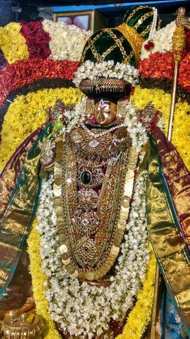 Thiruvahindrapuram Sri Devanathan Perumal Temple Irappathu Utsavam15