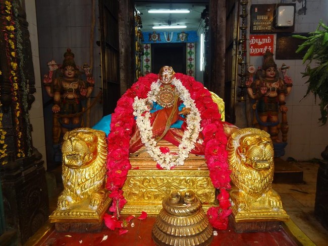 Thiruvahindrapuram Sri Devanathan Perumal Temple Irappathu Utsavam16