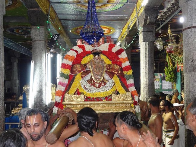 Thiruvahindrapuram Sri Devanathan Perumal Temple Irappathu Utsavam17